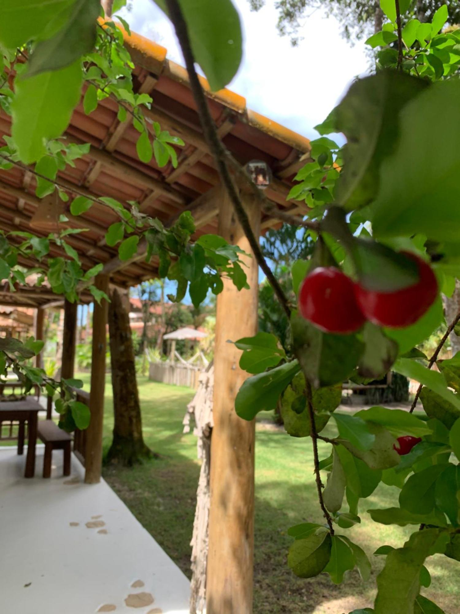 Cheiro Nativo - Chales & Pousada Trancoso Exterior photo