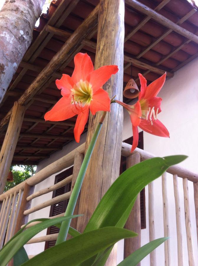 Cheiro Nativo - Chales & Pousada Trancoso Exterior photo